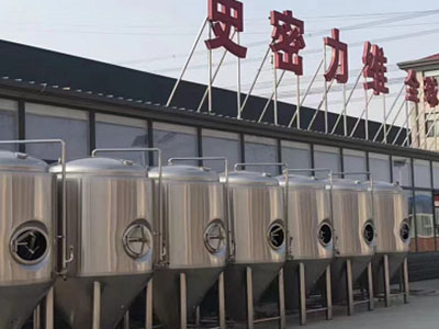 汉南精酿啤酒设备厂—如何判断精酿啤酒设备的密封件需要更换？